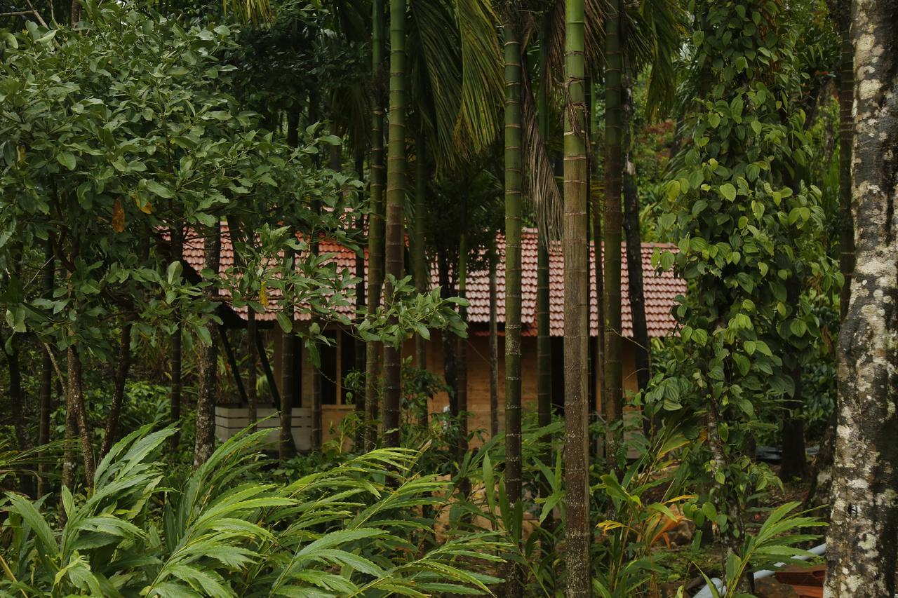 Aroha'S Eco Hill Resort Sakleshpur Exterior foto