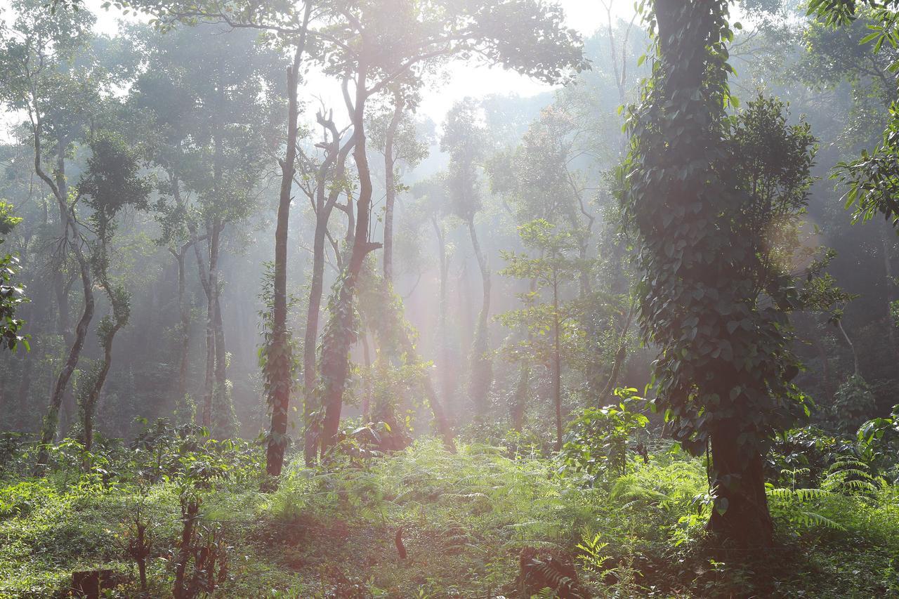 Aroha'S Eco Hill Resort Sakleshpur Exterior foto