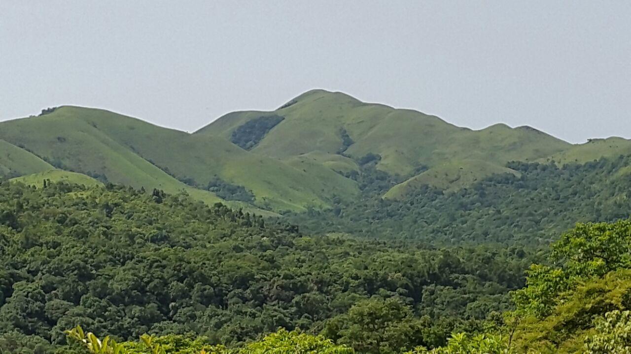 Aroha'S Eco Hill Resort Sakleshpur Exterior foto