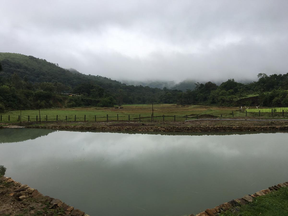 Aroha'S Eco Hill Resort Sakleshpur Exterior foto