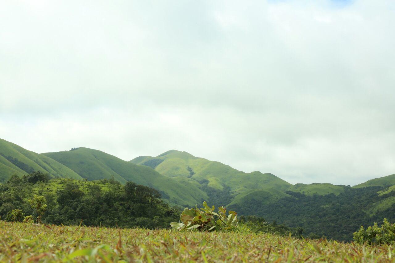 Aroha'S Eco Hill Resort Sakleshpur Exterior foto